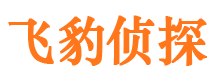 泰来市私家侦探